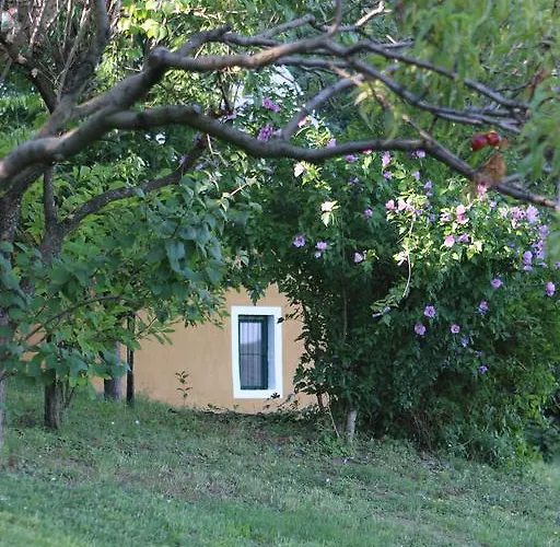 By The Woods Ferienhaus Balatonhenye